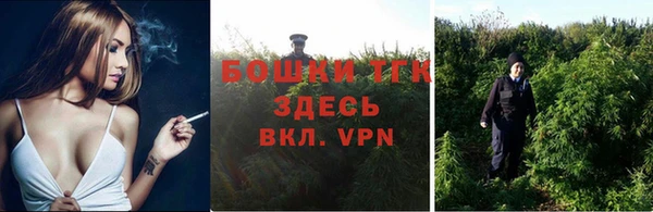 бошки Гусев
