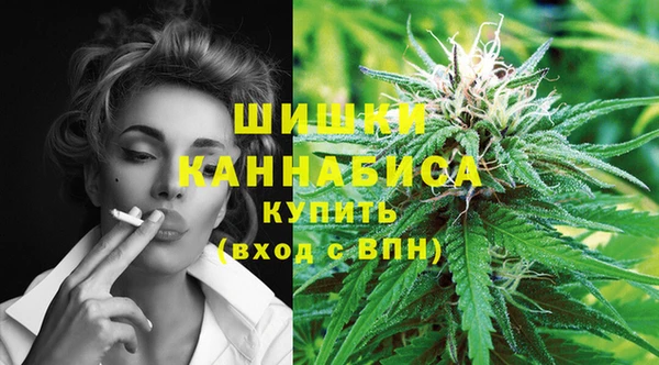 сатива Дмитриев