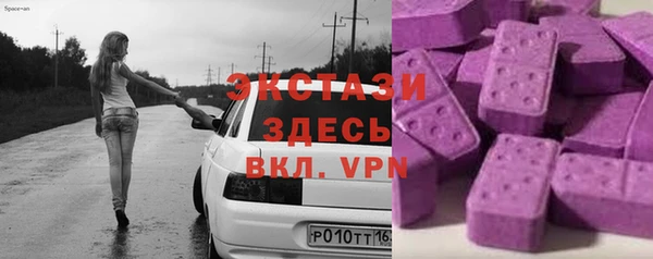 гашик Дмитров