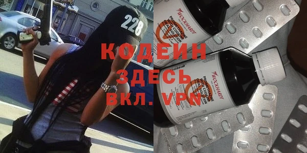 гашик Дмитров