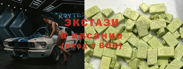гашик Дмитров
