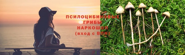 марки lsd Гусиноозёрск