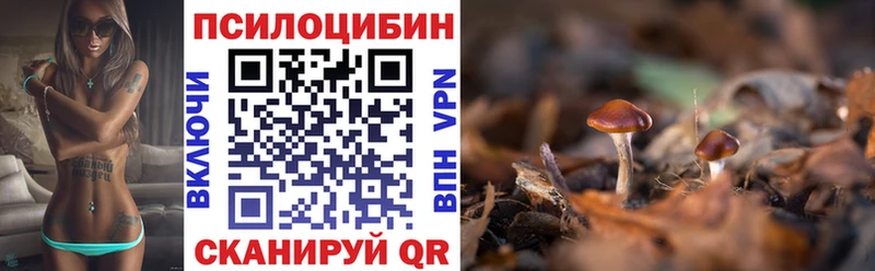 Галлюциногенные грибы Cubensis  магазин  наркотиков  Могоча 