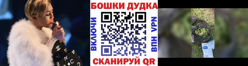 Бошки Шишки планчик наркошоп MEGA маркетплейс Могоча